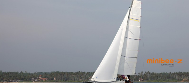 Minibee Z upwind