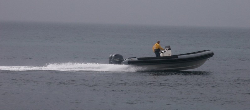 Cardot Marine 8m