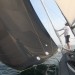 Minibee Z under spinnaker