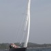 Minibee-Z sailing upwind