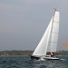 Minibee-Z sailing upwind