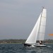 Minibee Z upwind